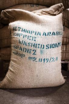 Ethiopian Arabica Sidamo Green Coffee 60kg Wholesale