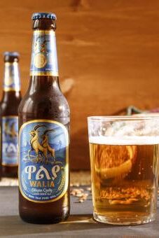 WALIA Lager Beer 5% vol. (24 x 0,33 ltr.) Karton